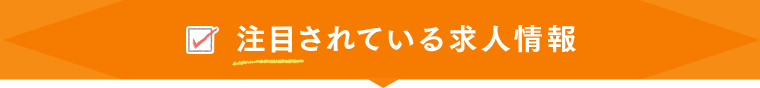 注目されている求人情報