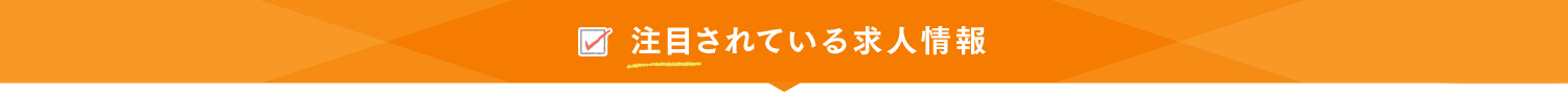 注目されている求人情報